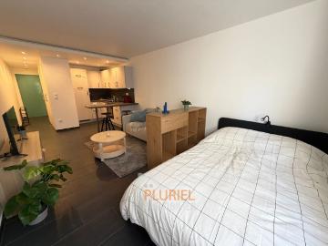 Magnifique 1 pièce meublé 30m² Quartier Vosges à STRASBOURG