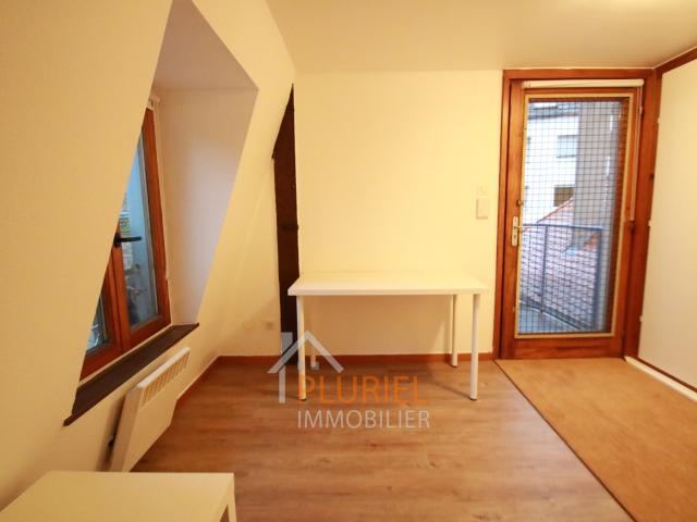 Magnifique 2 pièces 24.6m2 à la Krutenau