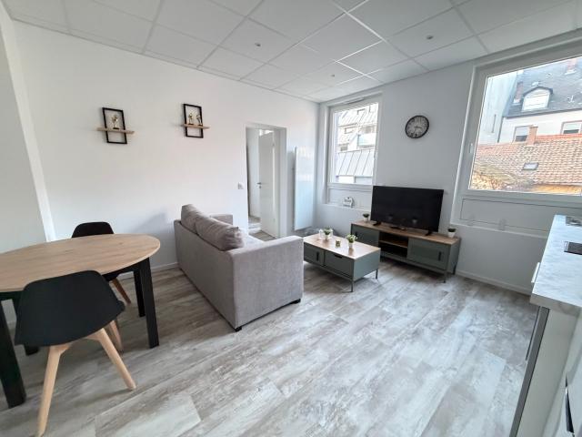 Magnifique 2 pièces 36.3m² meublé en hyper centre de Strasbourg Magnifique 4 pièces 82.8m² meublé à SCHILTIGHEIM Joli studio meublé 24m² à la Petite France à STRASBOURG