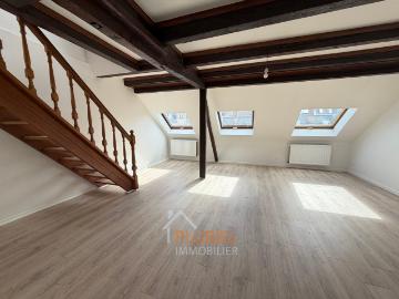 Magnifique 2 pièces 52.1m² rénové Quartier Petite France/Gare