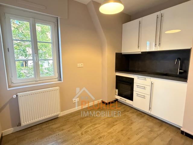 Magnifique 2 pièces 60m2 à la Petite France