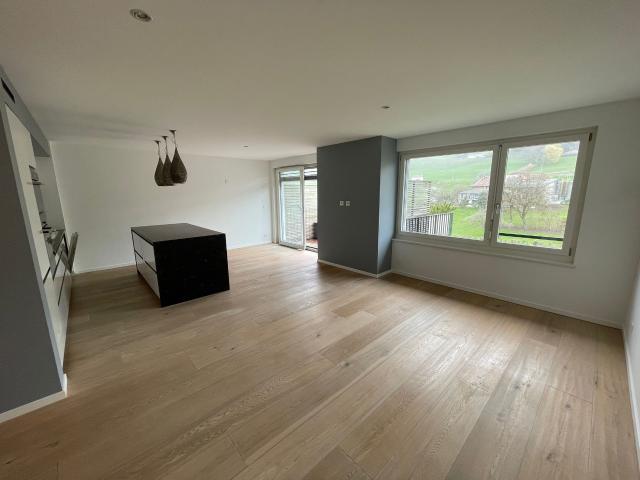 Magnifique 3.5 pièces avec terrasse