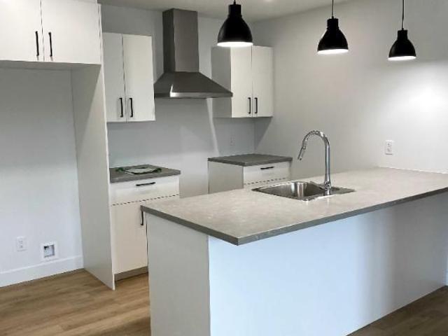 Magnifique 5 1/2 neuf et moderne