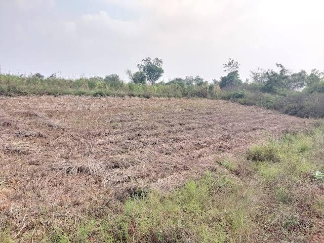 Mahamumbai Plots In Belondekhar,Belondakhar Residential Plot For Sale Navi Mumbai