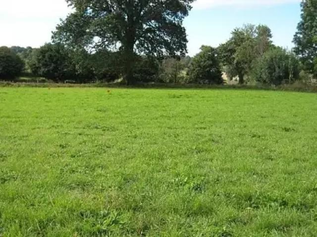 Maizet 14210 Programme neuf maison neuf à vendre 5 pièces