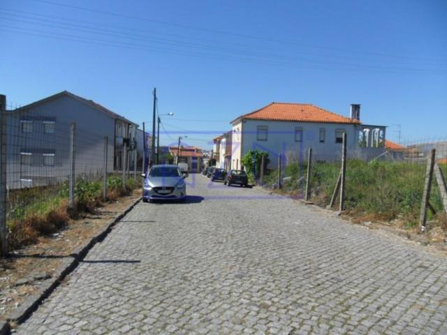 Maia Maia 105008120