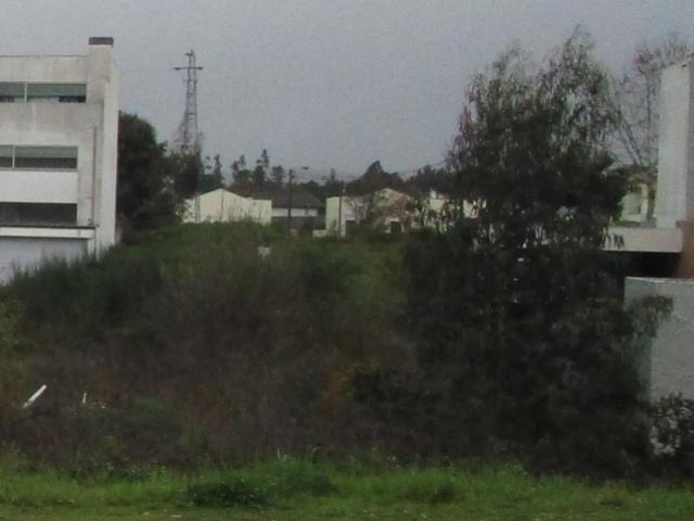 Maia Maia 105110432