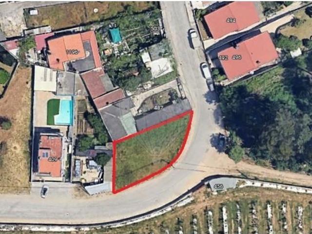 Maia Maia 105155601