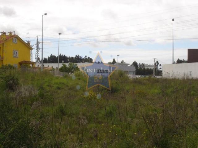 Maia Maia 105183251