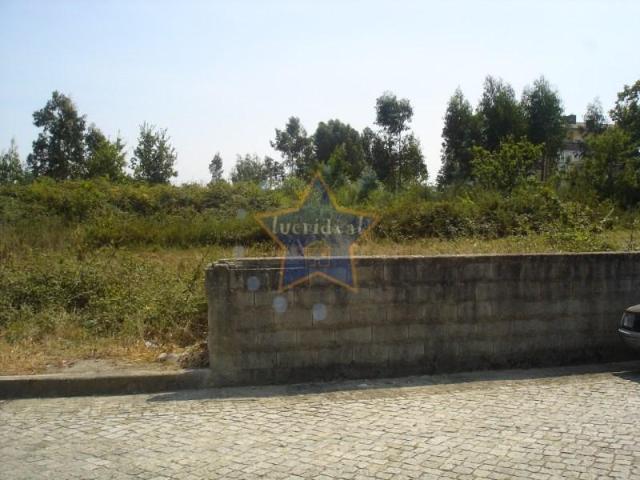 Maia Maia 105304929