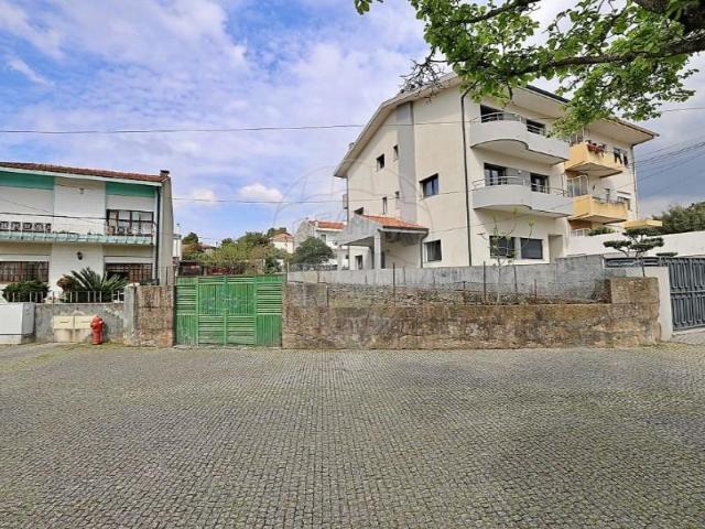 Maia Maia 100640167