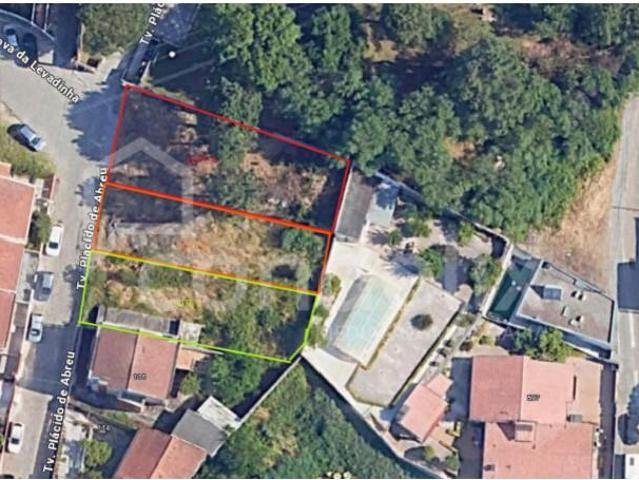 Maia Maia 102000682