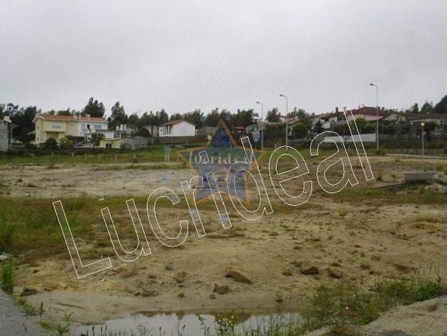 Maia Maia 102239172