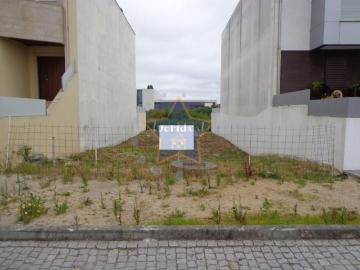 Maia Maia 102976309