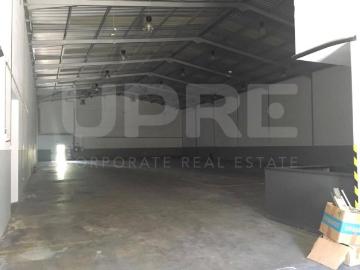 Maia Maia 103157762