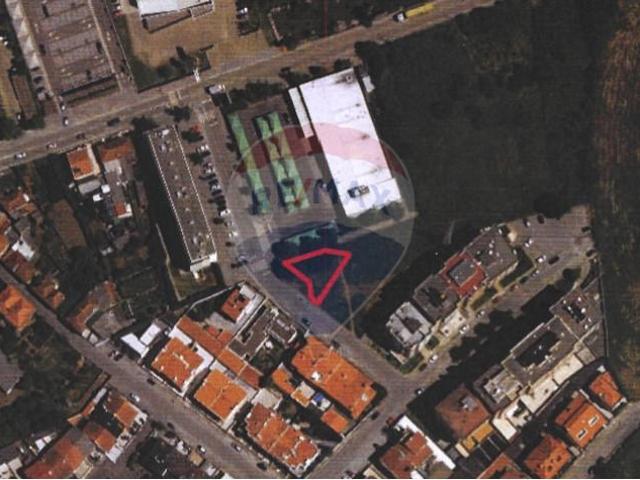 Maia Maia 103818335