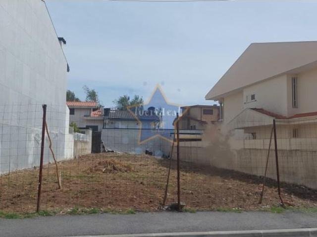Maia Maia 87448566