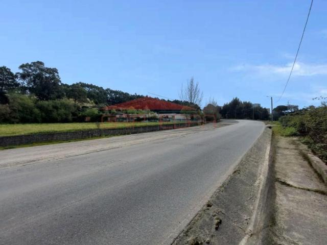 Maia Maia 92199812