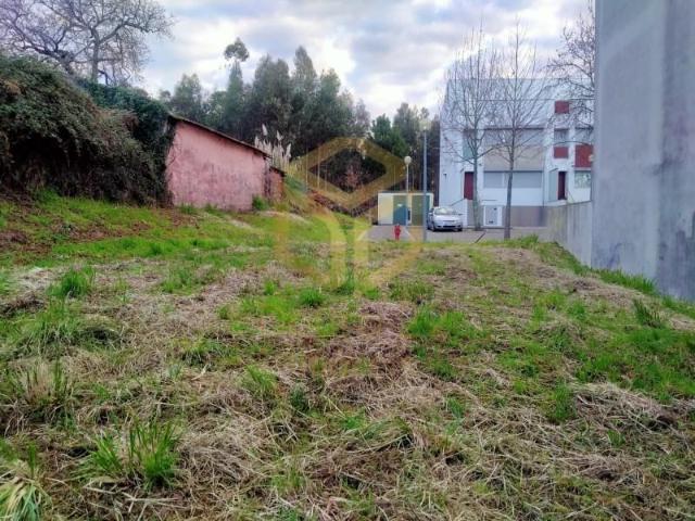 Maia Maia 97124436