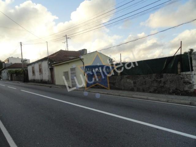 Maia Maia 98621652