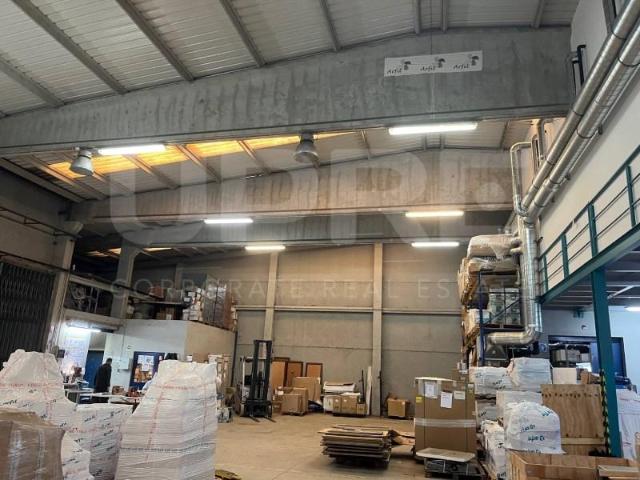 Maia Maia LS99566792