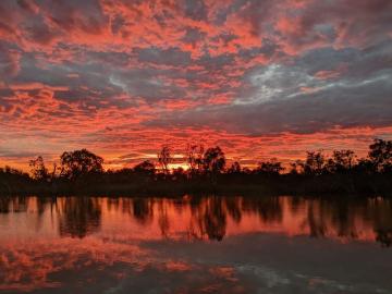 Moorook South, Berri Barmera, South Australia