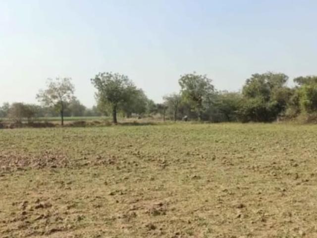 Main Super City Road Commercial Land 1000 Sq. Yd. in Bhadaj Ahmedabad Listing ID: #10313