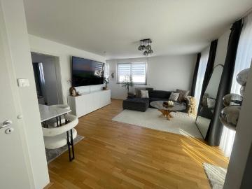 Mainz Weisenau: Modernes Penthouse, 2 Zimmer, Dachterrasse, Gäste WC, EBK, Stellplatz inkl