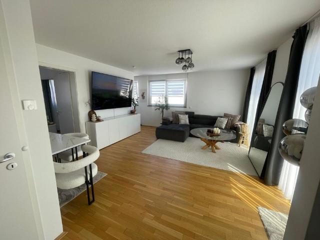 Mainz Weisenau: Modernes Penthouse, 2 Zimmer, Dachterrasse, Gäste WC, EBK, Stellplatz inkl