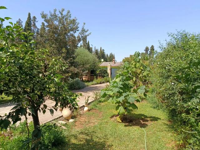 Mairena Del Alcor