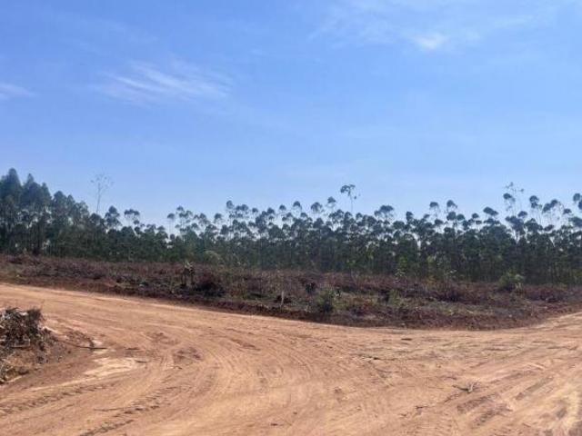 Mairinque bairro Cristal terrenos de 1000m. plainos liberado para construir