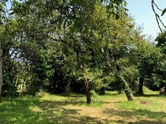 Maison 3 chambres, Burgundy Burgundy 89710 DS87395026