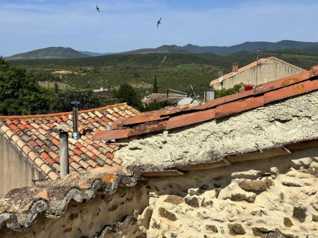 Maison 3 chambres, Herault Languedoc DS101398998