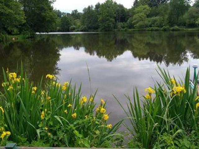 Maison 3 chambres, MEILHAC Limousin 87800 ES93133694