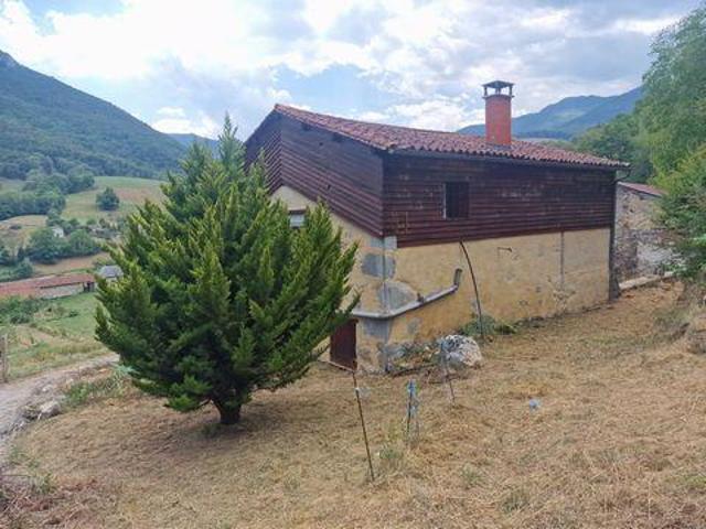 Maison 3 chambres, Nistos Midi 65150 DLS105349169