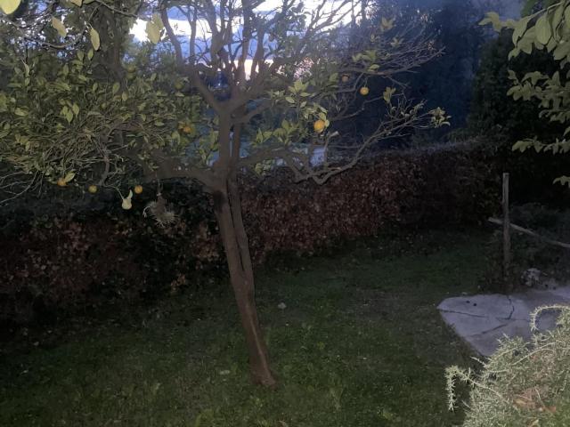 Maison 3 pièces, 43 m² à louer à Nice 06100