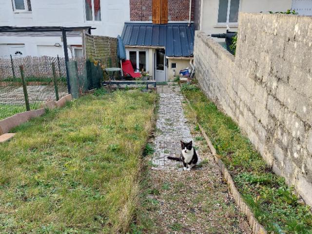 Maison 3 pièces 47 m²