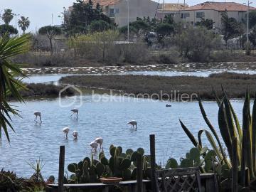 Méditerranée, La Languedocienne Montpellier, Maurin, Hérault, Languedoc-Roussillon