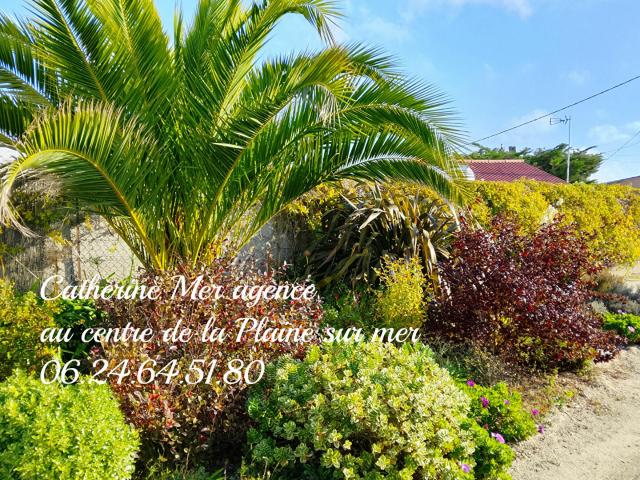 Maison 3 pièces 74 m²