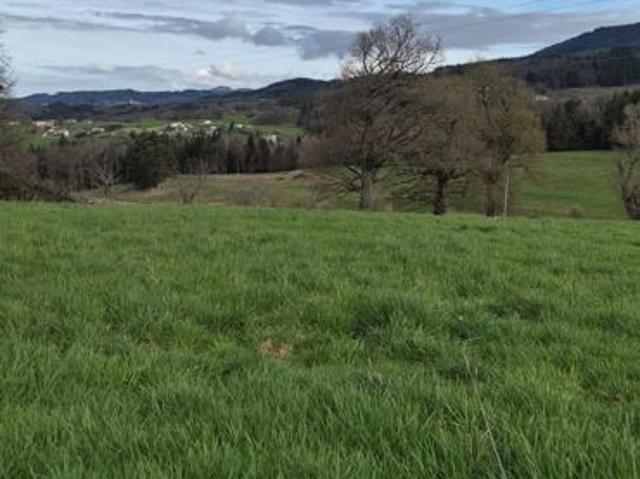 Maison 103 m² avec terrain à AUGEROLLES 63
