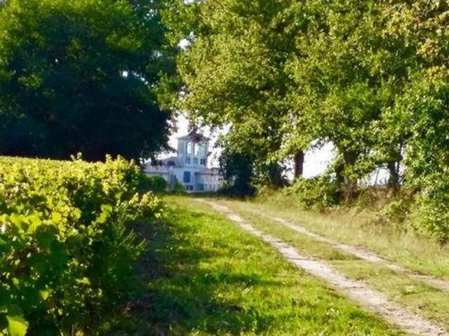 Maison 10 chambres, Sauternes Aquitaine 33210 DS104041272