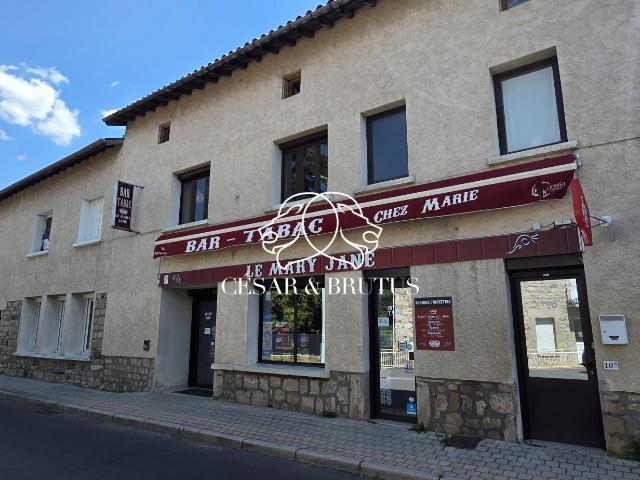 Maison 10 pièces 177 m²