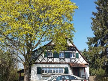67110, Bas-Rhin - Terrasse, Cuisine équipée