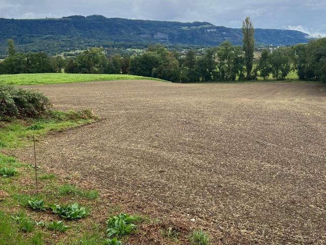 Maison 10 pièces, 450 m² à louer à Saint Julien en Genevois 74160