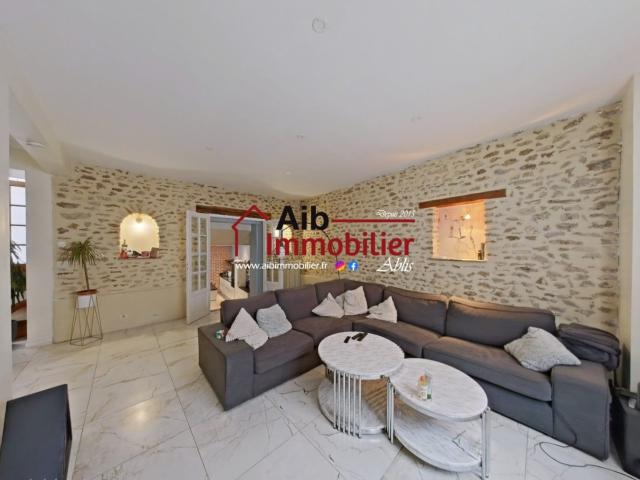 Maison 11 pièces 253 m²