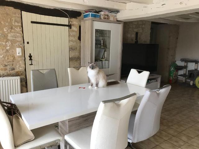 Maison 11 pièces 296 m²