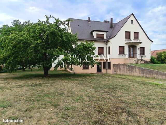Maison 11 pièces 303 m²