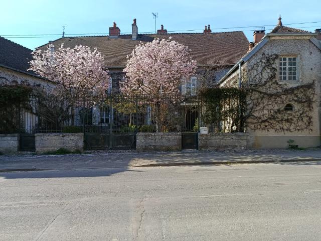Maison 14 pièces 390 m²