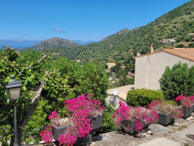 Maison 14 pièces 337 m²