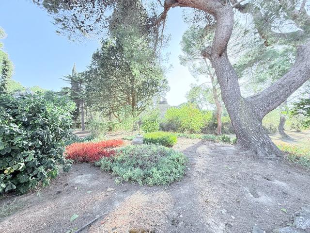 Maison 19 pièces 497 m²